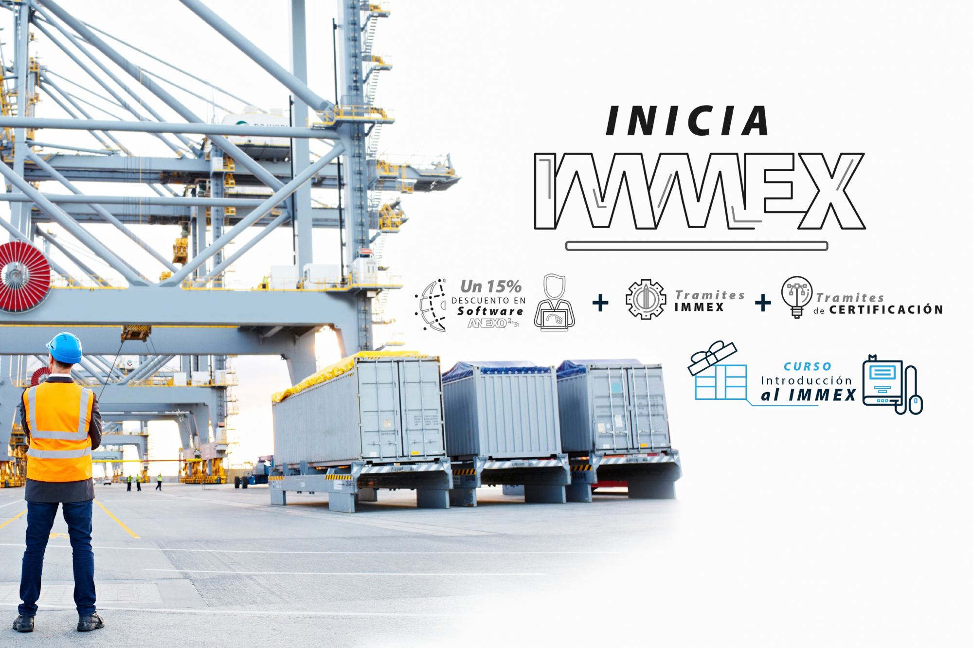 IMMEX